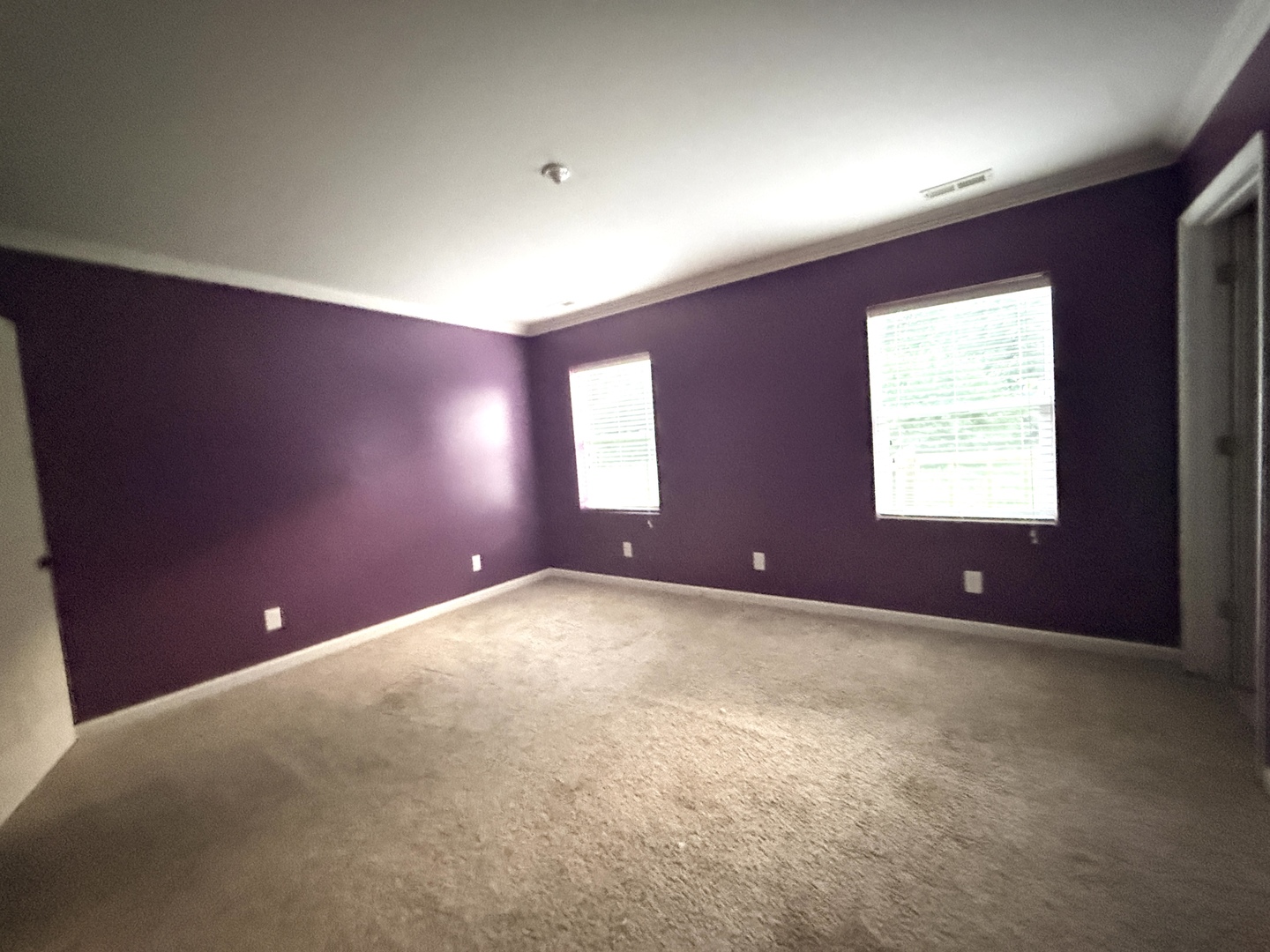 802 North Road West Frankfort, IL 62896 - Photo 16 of 32