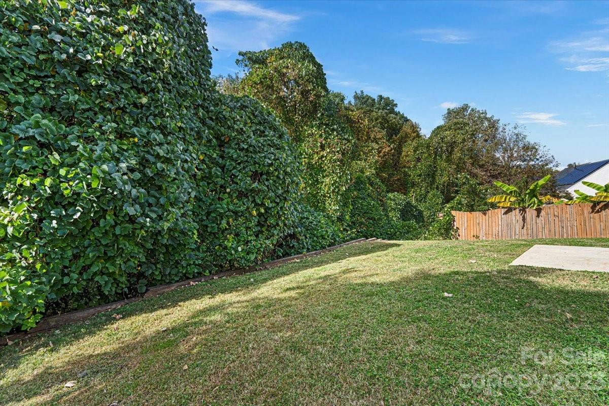 1007 Reigate Road Charlotte, NC 28262 - Photo 5 of 28 a view of a yard with a tree