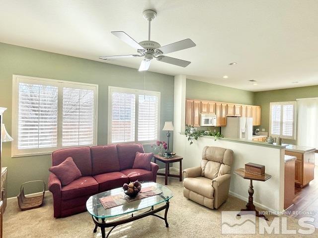 10595 Thistle Berry Court Reno, NV 89521 - Photo 3 of 24 Photo 3