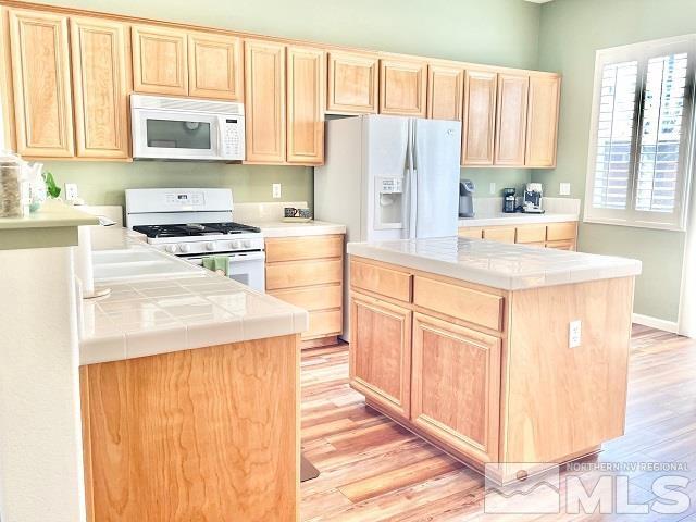 10595 Thistle Berry Court Reno, NV 89521 - Photo 9 of 24 Photo 9