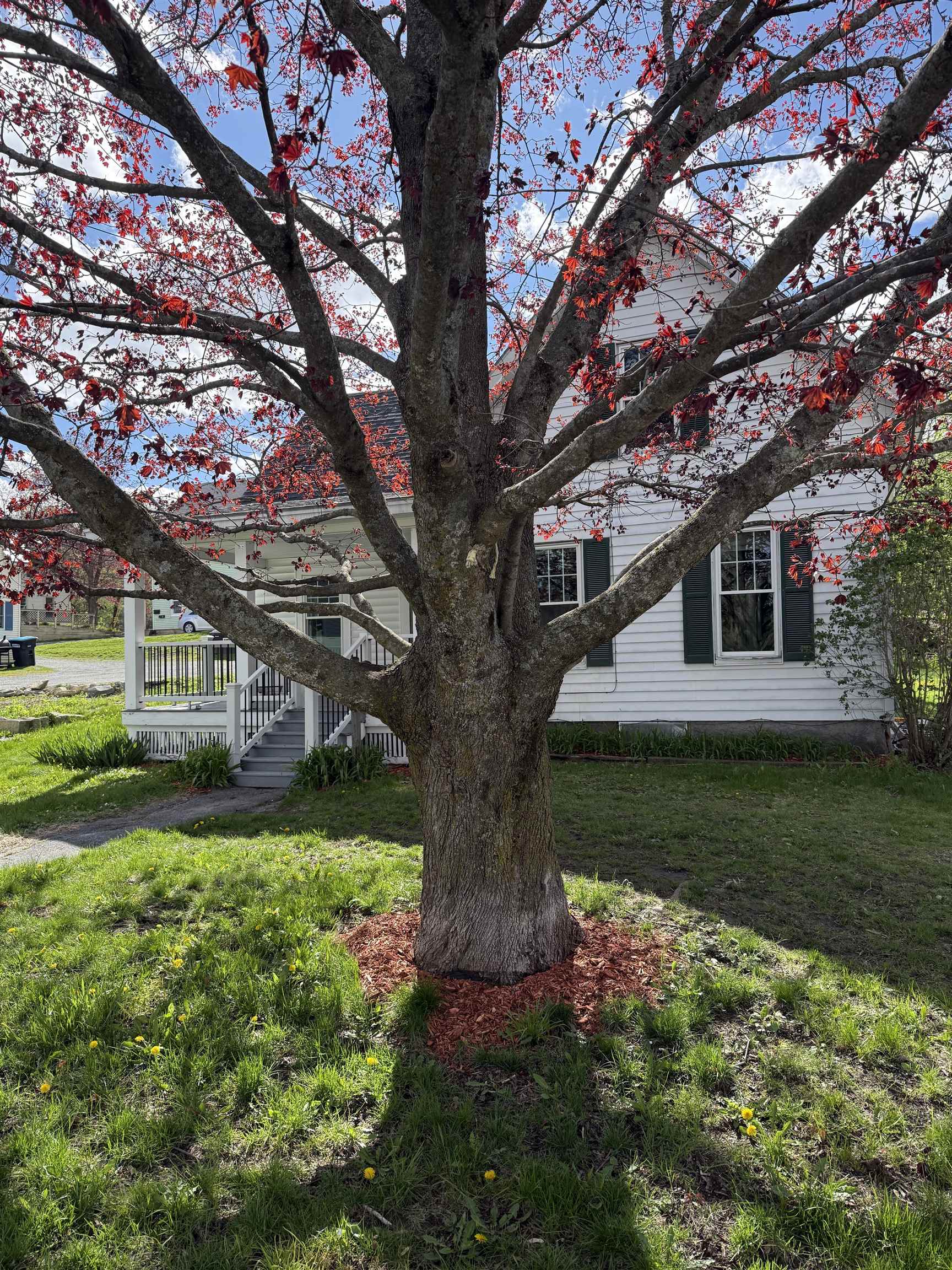 140 Hanover Street Lebanon, NH 03766 - Photo 2 of 37