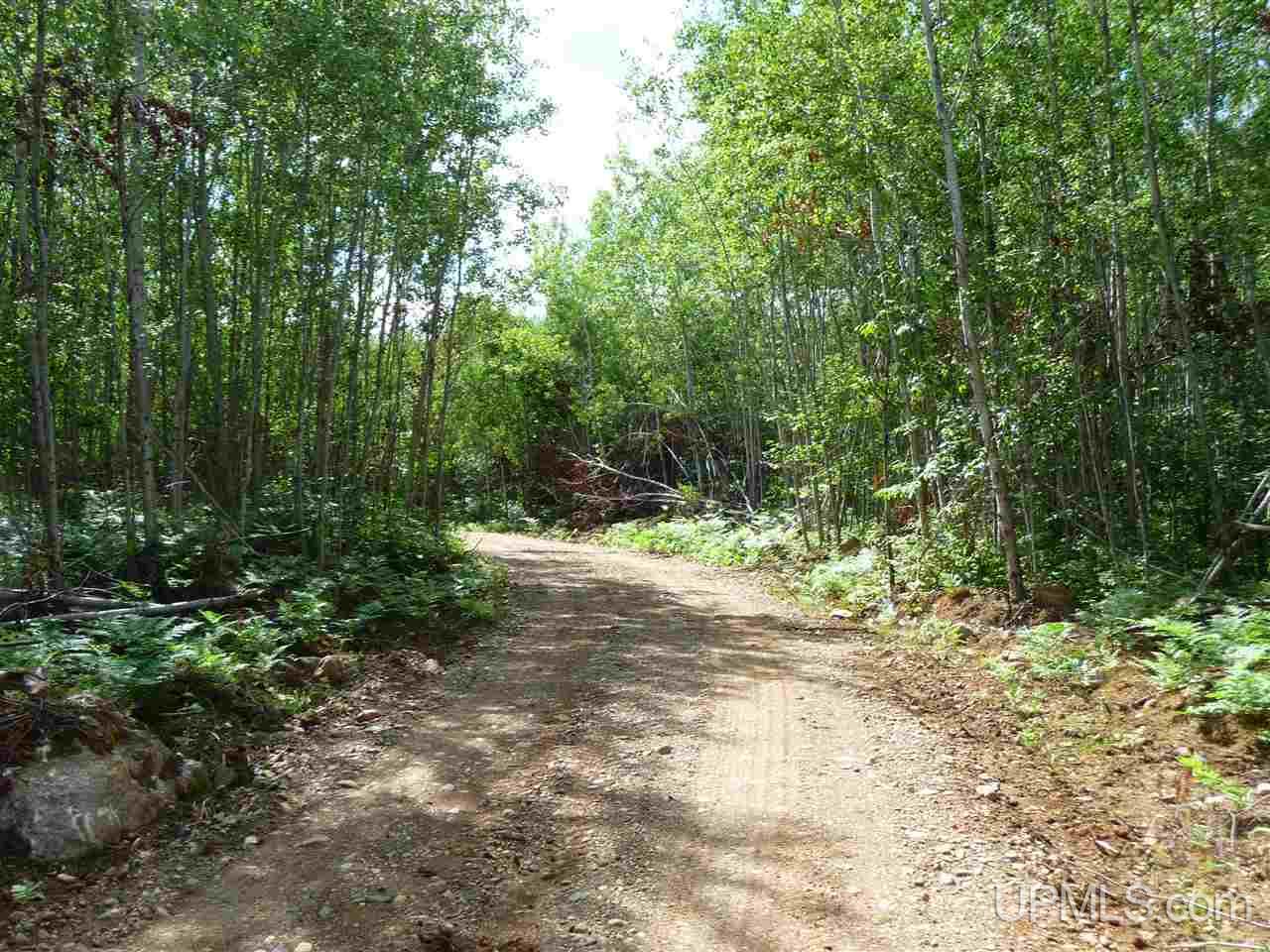Tbd Tbd Road Republic, MI 49879 - Photo 15 of 21
