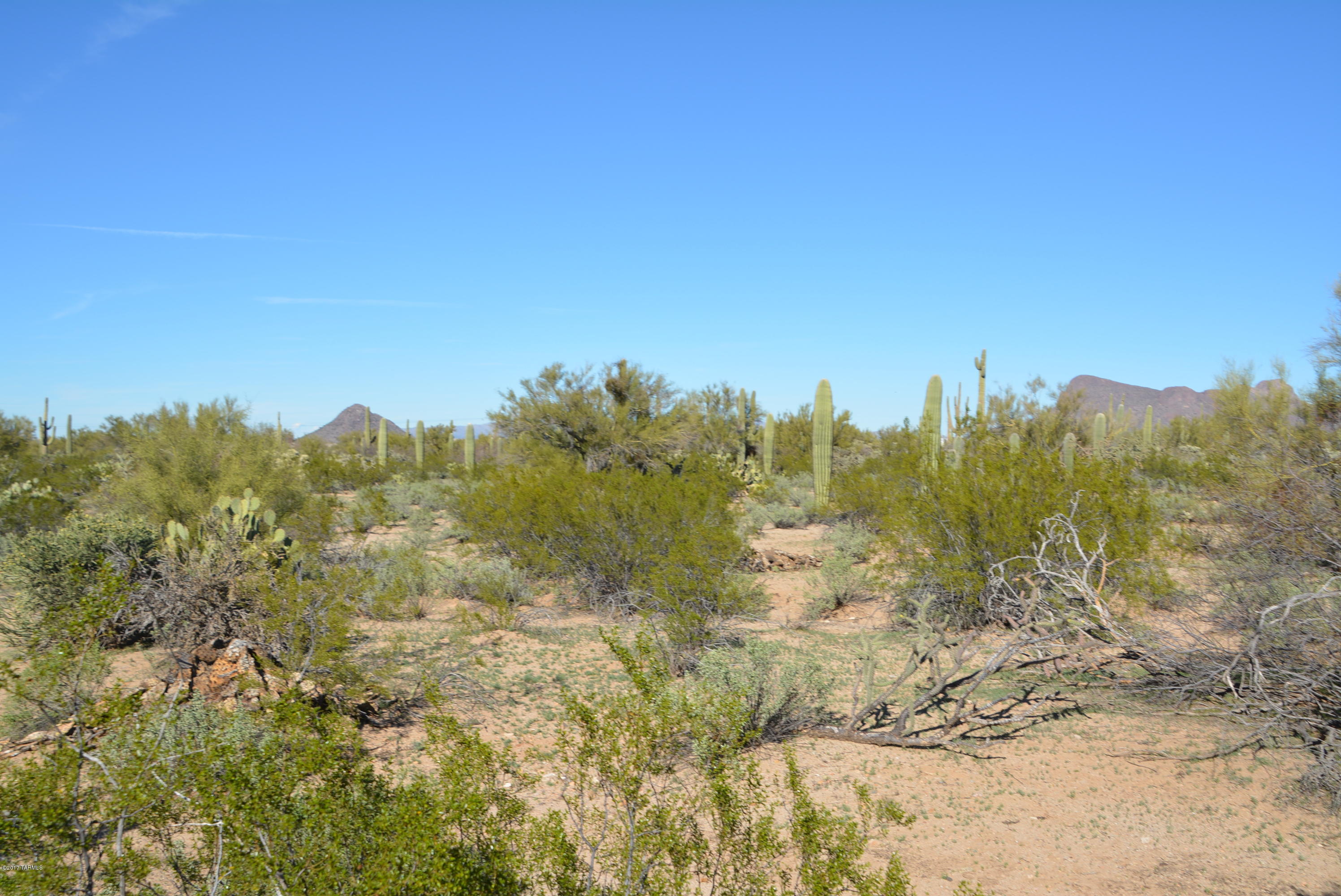 11700 West Rudasill Road, Unit LOT 4 Tucson, AZ 85743 - Photo 1 of 33