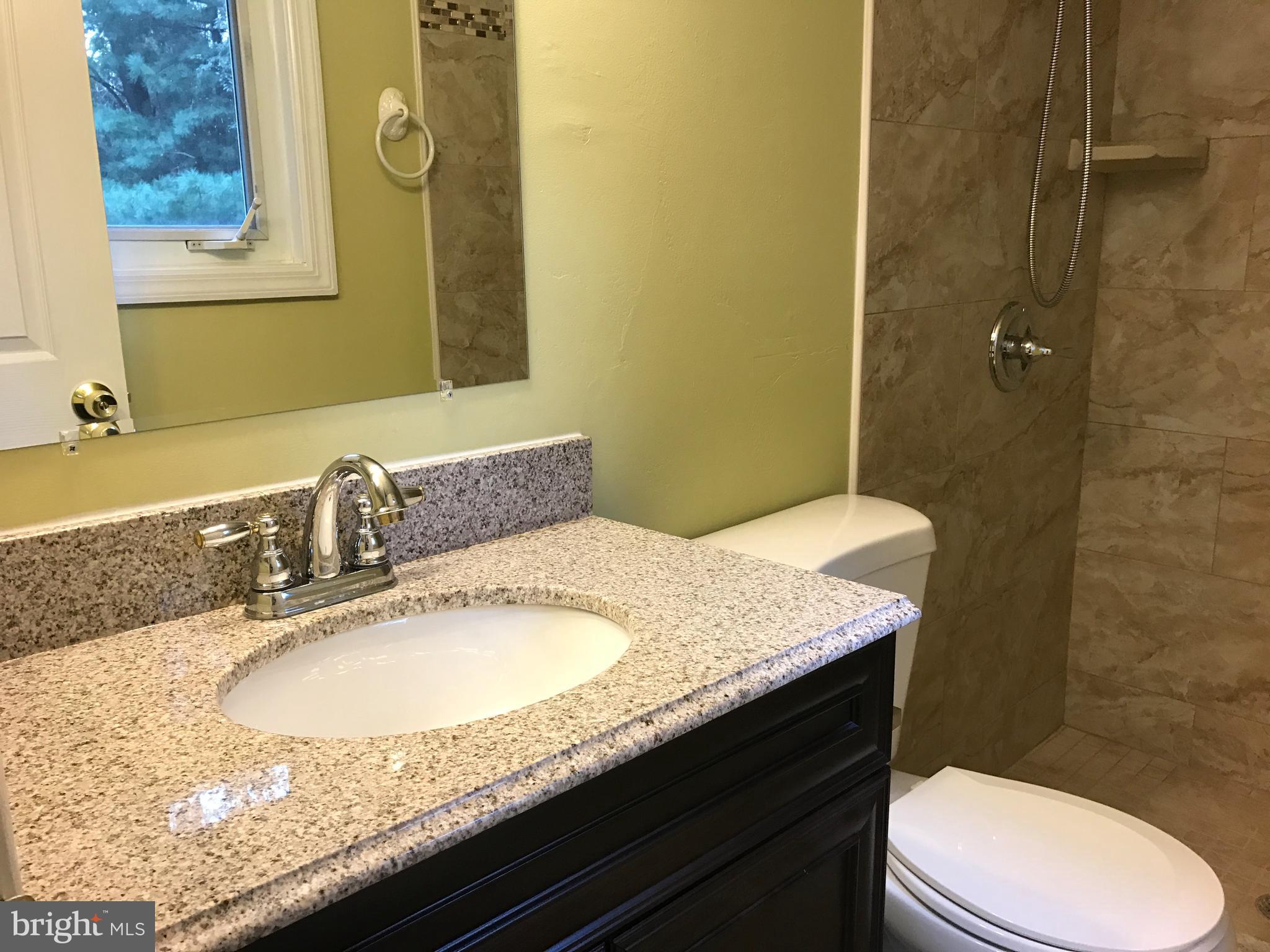 9525 Kilimanjaro Road Columbia, MD 21045 - Photo 19 of 30 Bath (Master)