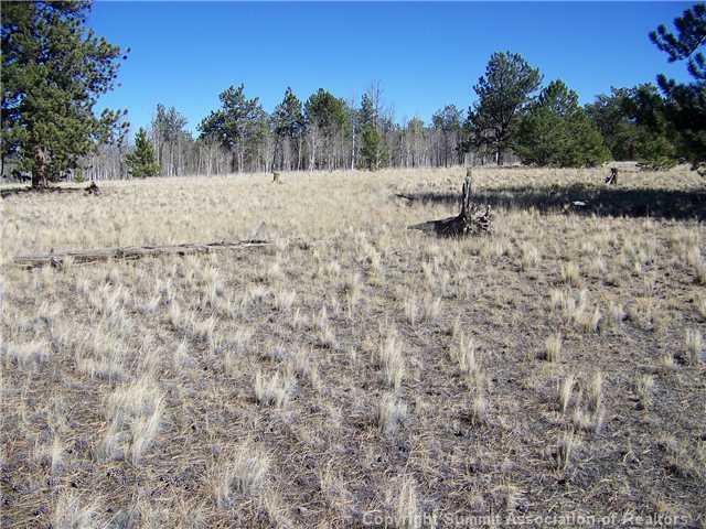 582 Yellowstone Road Hartsel, CO 80449 - Photo 3 of 9 Gallery Image 3