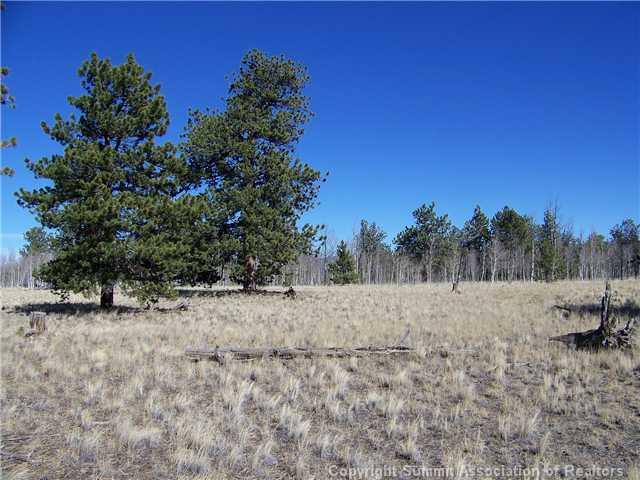 582 Yellowstone Road Hartsel, CO 80449 - Photo 4 of 9 Gallery Image 4