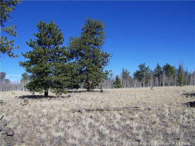 582 Yellowstone Road Hartsel, CO 80449 - Photo 5 of 9 Gallery Image 5