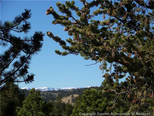582 Yellowstone Road Hartsel, CO 80449 - Photo 6 of 9 Gallery Image 6