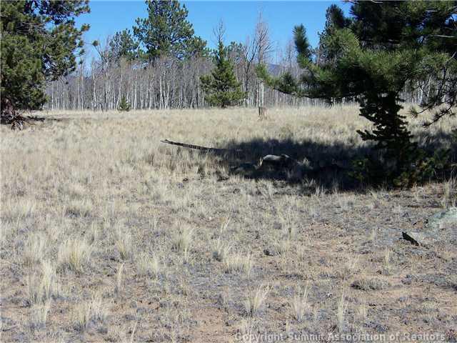 582 Yellowstone Road Hartsel, CO 80449 - Photo 7 of 9 Gallery Image 7