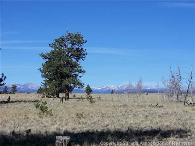 582 Yellowstone Road Hartsel, CO 80449 - Photo 8 of 9 Gallery Image 8