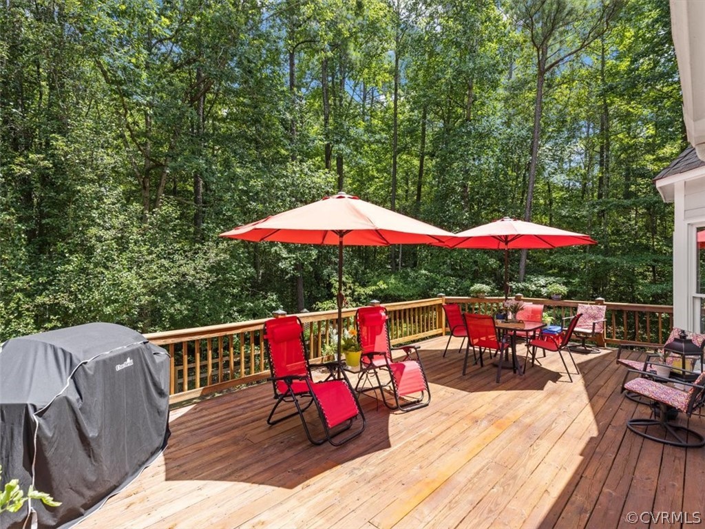 13020 River Road Chesterfield, VA 23838 - Photo 44 of 50 Gallery Image 44