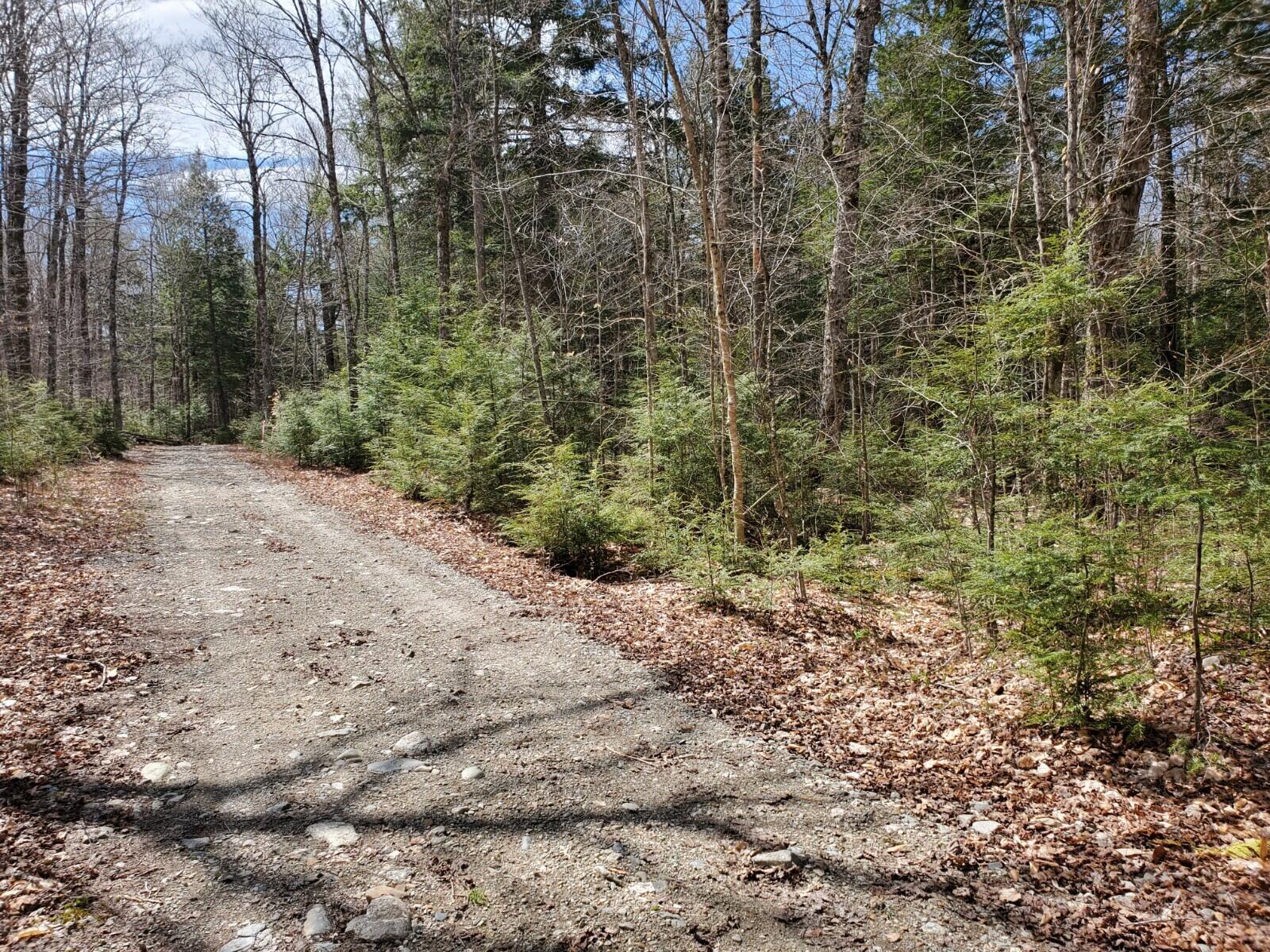 1.3-ac Off Barrows Lake Road Alexander, ME 04694 - Photo 3 of 10