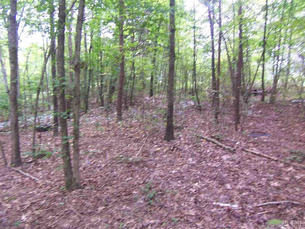2524 Grant Road Hudson, NC 28638 - Photo 3 of 4 Gallery Image 3