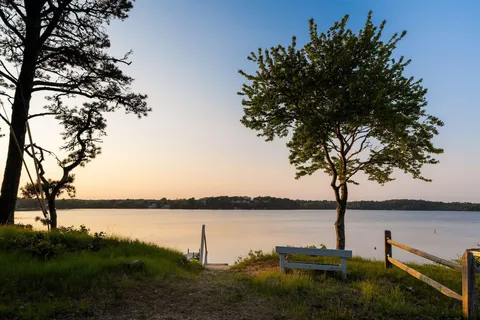 a view of a lake from a yard