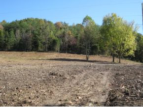 0 Branch Road Fall Branch, TN 37656 - Photo 1 of 6 Front