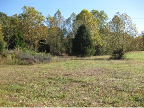 0 Branch Road Fall Branch, TN 37656 - Photo 2 of 6 Right Side