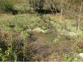 0 Branch Road Fall Branch, TN 37656 - Photo 3 of 6 Year Around Creek