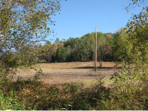 0 Branch Road Fall Branch, TN 37656 - Photo 4 of 6 Front2