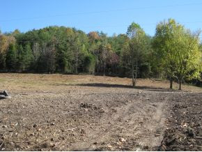 0 Branch Road Fall Branch, TN 37656 - Photo 5 of 6 Front3