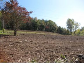 0 Branch Road Fall Branch, TN 37656 - Photo 6 of 6 Front4
