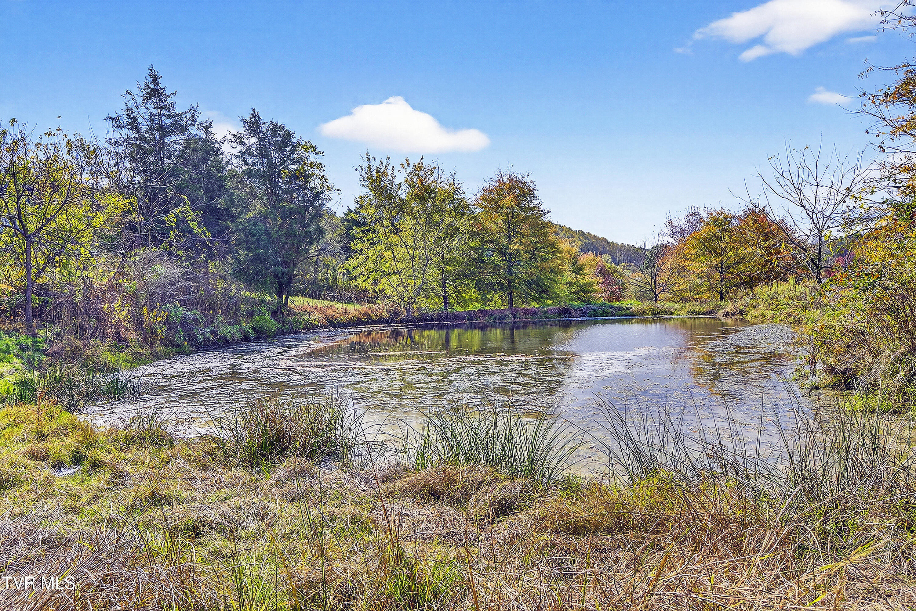 13129 Northridge Road Abingdon, VA 24210 - Photo 65 of 89 Spring-fed Pond