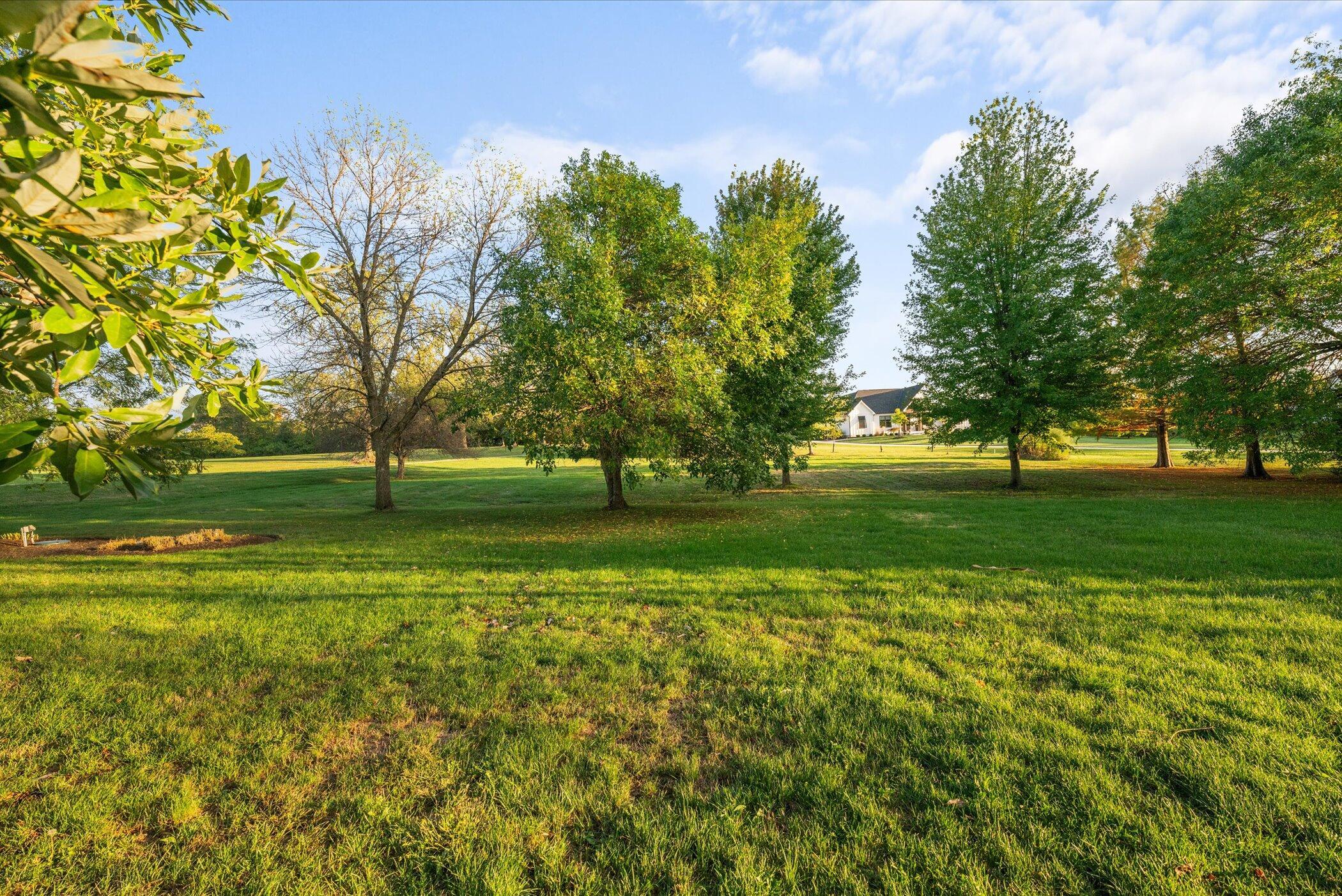 18261 Boerger Road Marysville, OH 43040 - Photo 86 of 94 1.62 acres in Marysville!