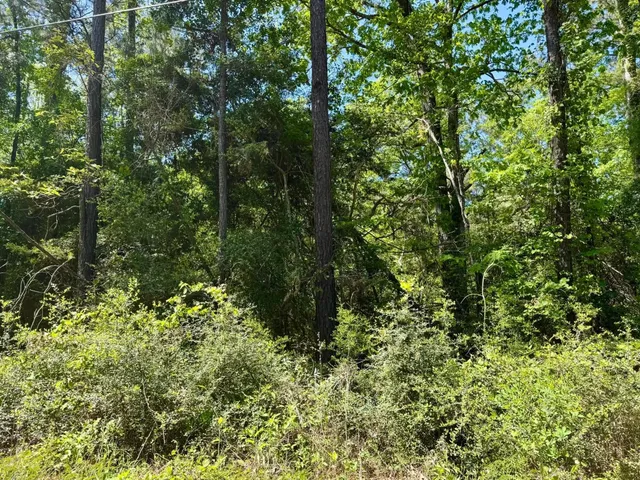 a view of a house with a lush green forest