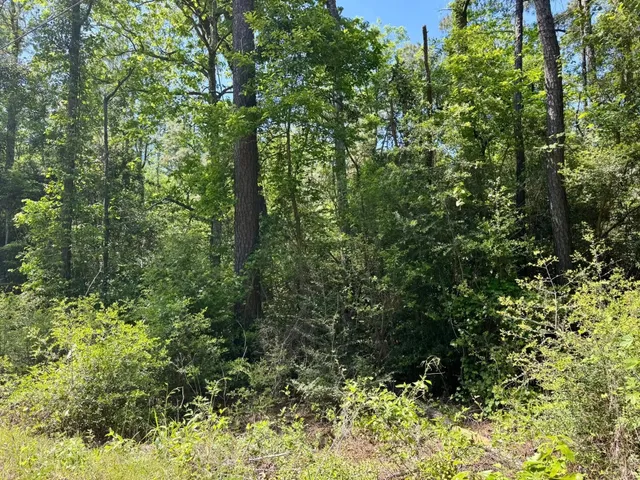 $79,500 | 4415 Spurger Tx 77660, Woodville, TX 75979