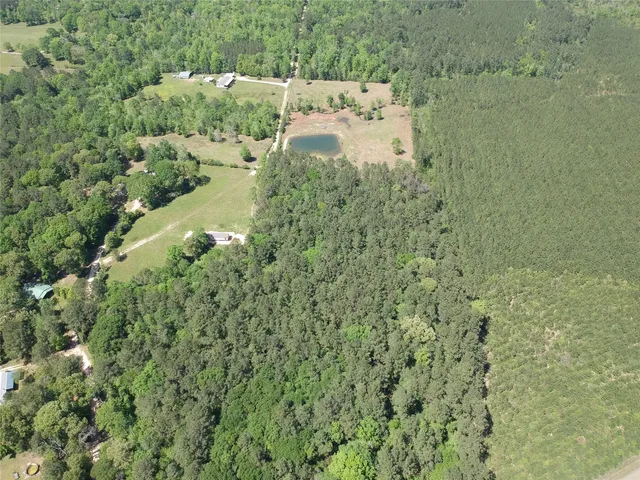 a view of a house with a lush green forest