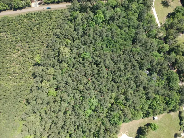 a view of a tree with a yard