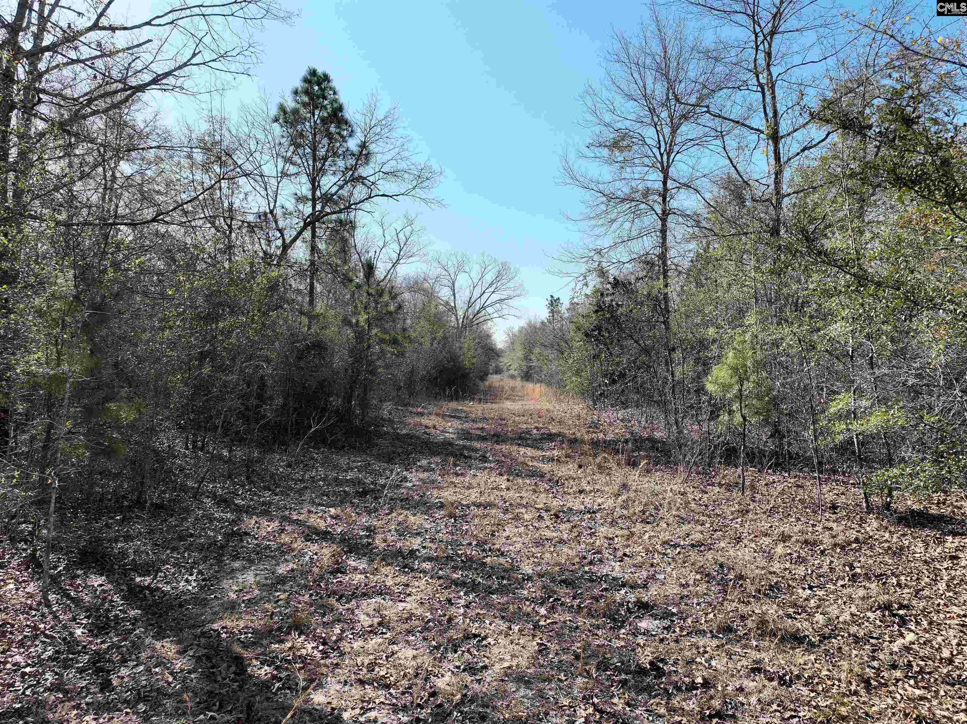 0 Salley Road Salley, SC 29137 - Photo 18 of 21