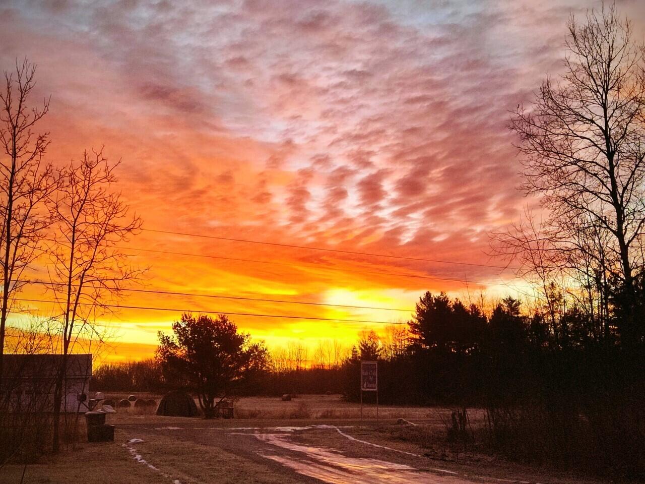 184 Bellsqueeze Road Benton, ME 04901 - Photo 56 of 58 Sunrise from the front yard