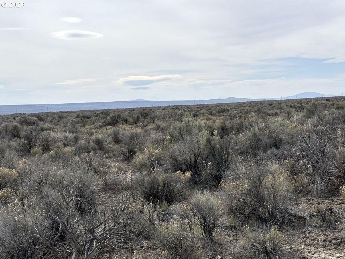 Fossil Lake Road, Unit 100 Christmas Valley, OR 97641 - Photo 6 of 25