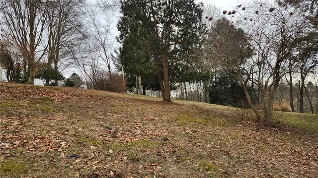 a view of outdoor space with trees