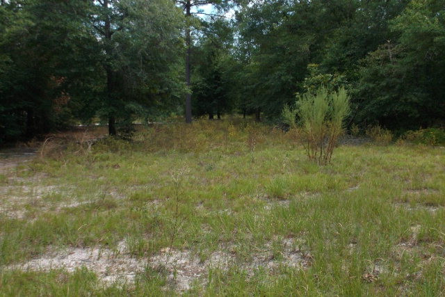 4640 Rollins Road Augusta, GA 30906 - Photo 1 of 1 Main View