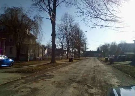 a view of a yard with a tree