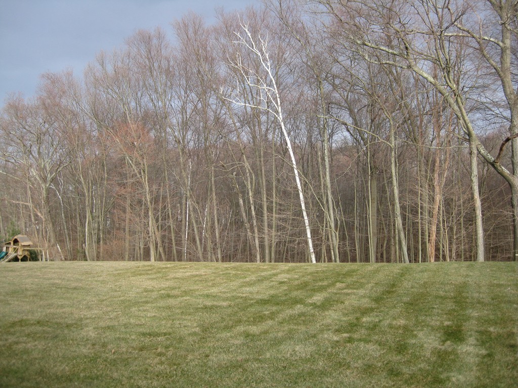 56 Hemlock Ridge Agawam, MA 01030 - Photo 30 of 30 Gallery Image 30