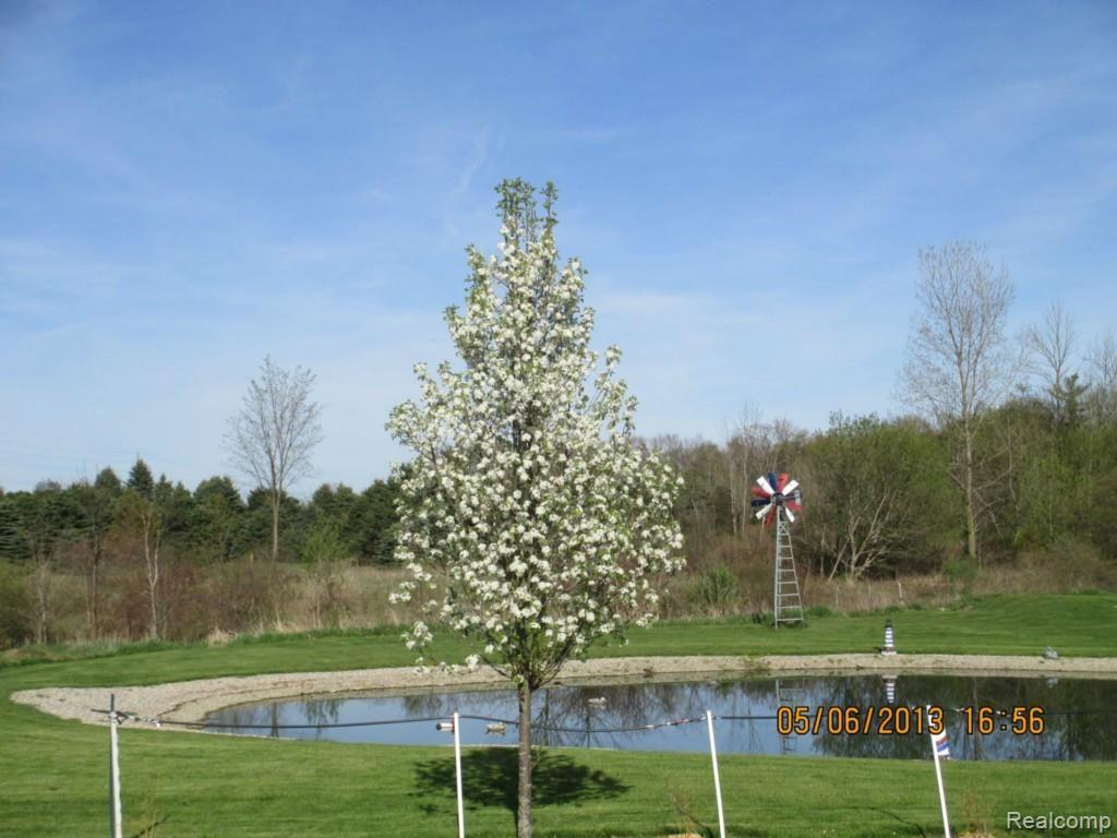 45 South Wilder Road Lapeer, MI 48446 - Photo 40 of 42 Garden Pond View.jpg