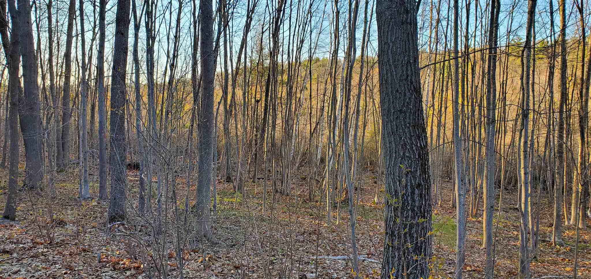 Lot 5-2 Tebbetts Road Rochester, NH 03867 - Photo 12 of 25