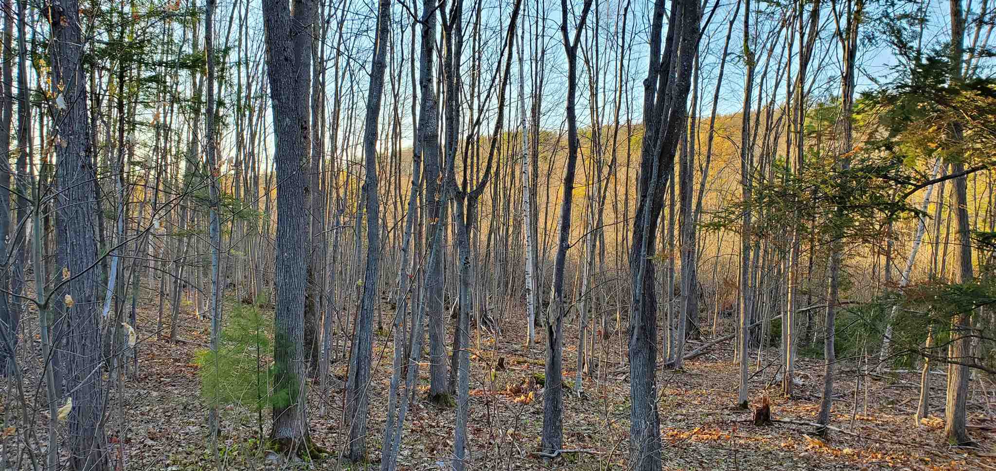 Lot 5-2 Tebbetts Road Rochester, NH 03867 - Photo 13 of 25