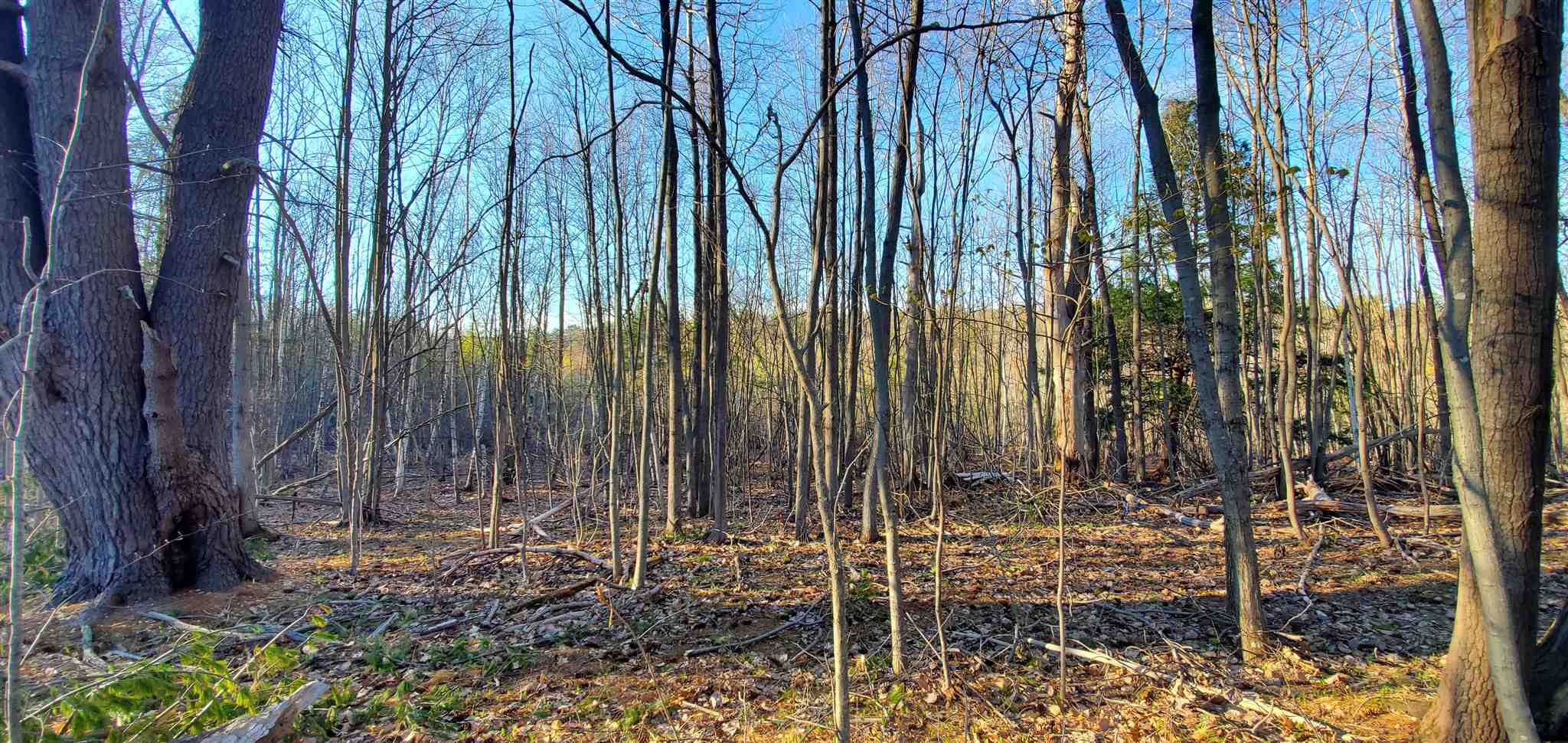 Lot 5-2 Tebbetts Road Rochester, NH 03867 - Photo 14 of 25