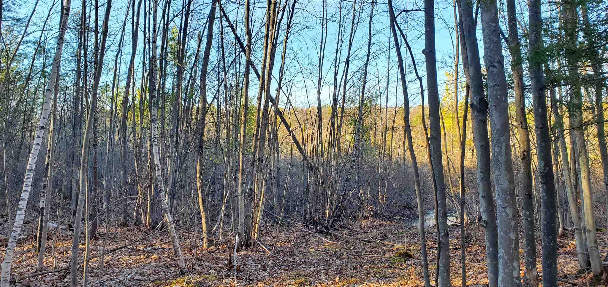 Lot 5-2 Tebbetts Road Rochester, NH 03867 - Photo 15 of 25