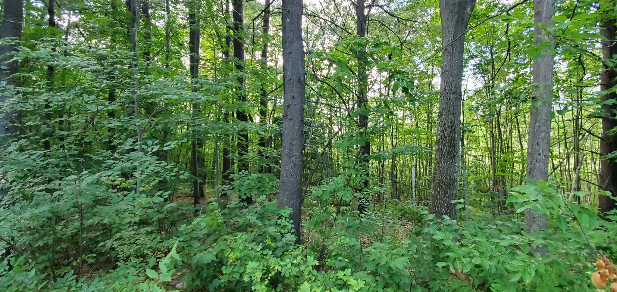 Lot 5-2 Tebbetts Road Rochester, NH 03867 - Photo 18 of 25