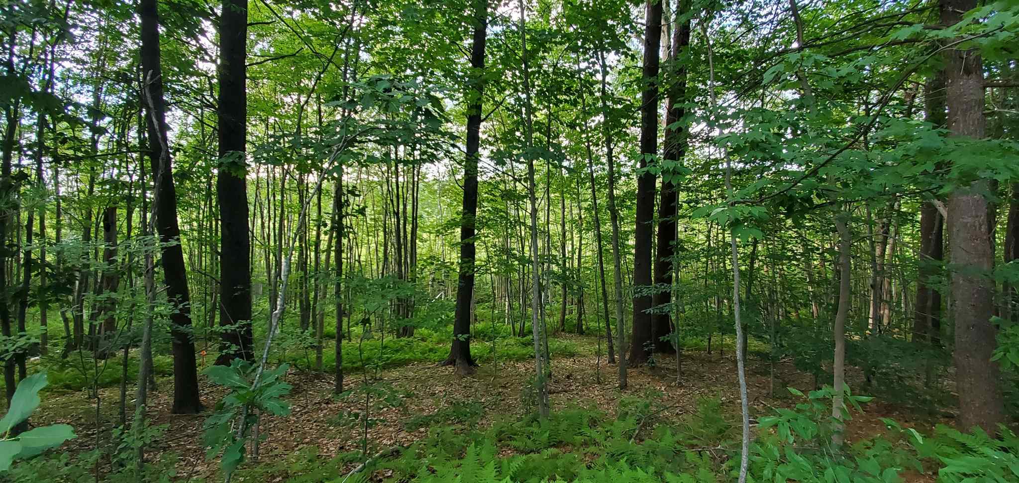 Lot 5-2 Tebbetts Road Rochester, NH 03867 - Photo 19 of 25