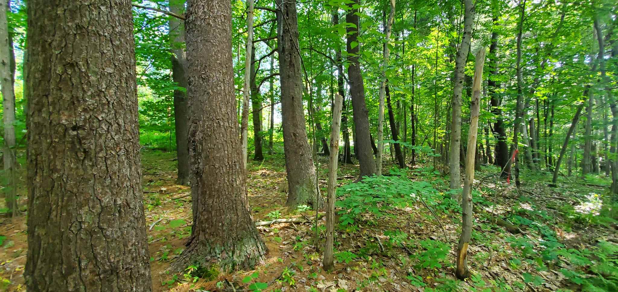 Lot 5-2 Tebbetts Road Rochester, NH 03867 - Photo 20 of 25