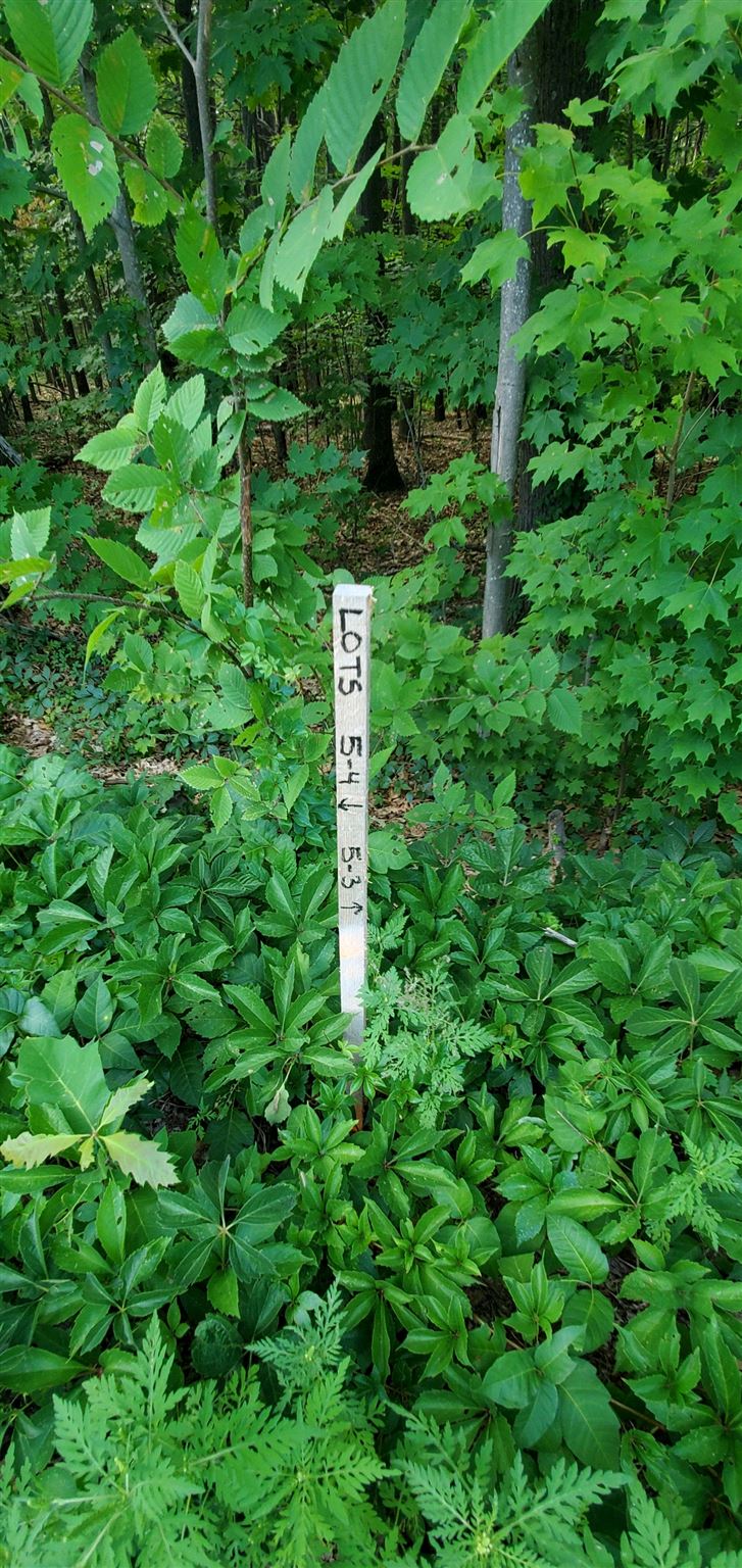Lot 5-2 Tebbetts Road Rochester, NH 03867 - Photo 21 of 25