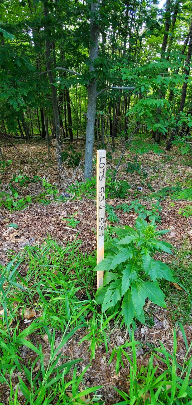 Lot 5-2 Tebbetts Road Rochester, NH 03867 - Photo 22 of 25