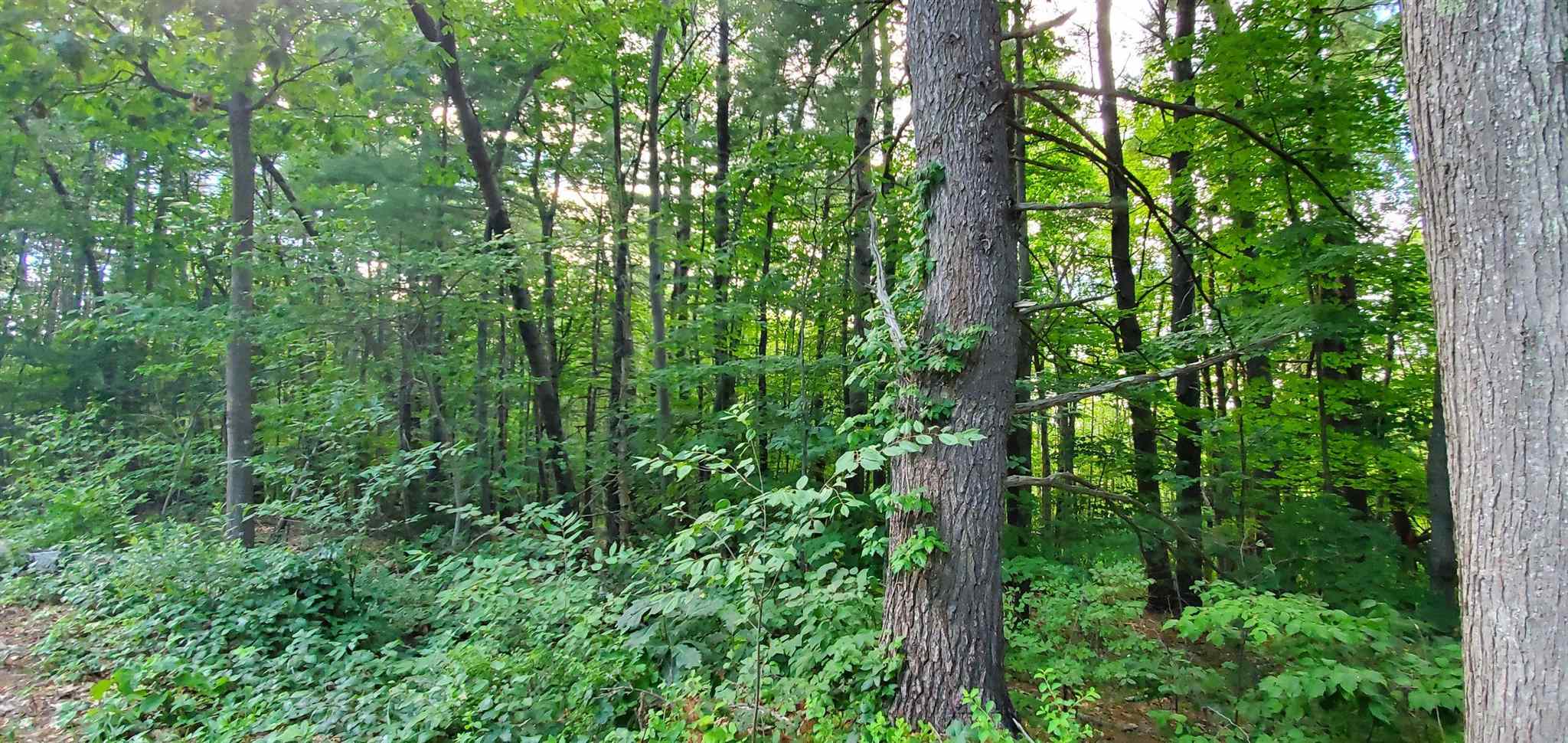 Lot 5-2 Tebbetts Road Rochester, NH 03867 - Photo 23 of 25