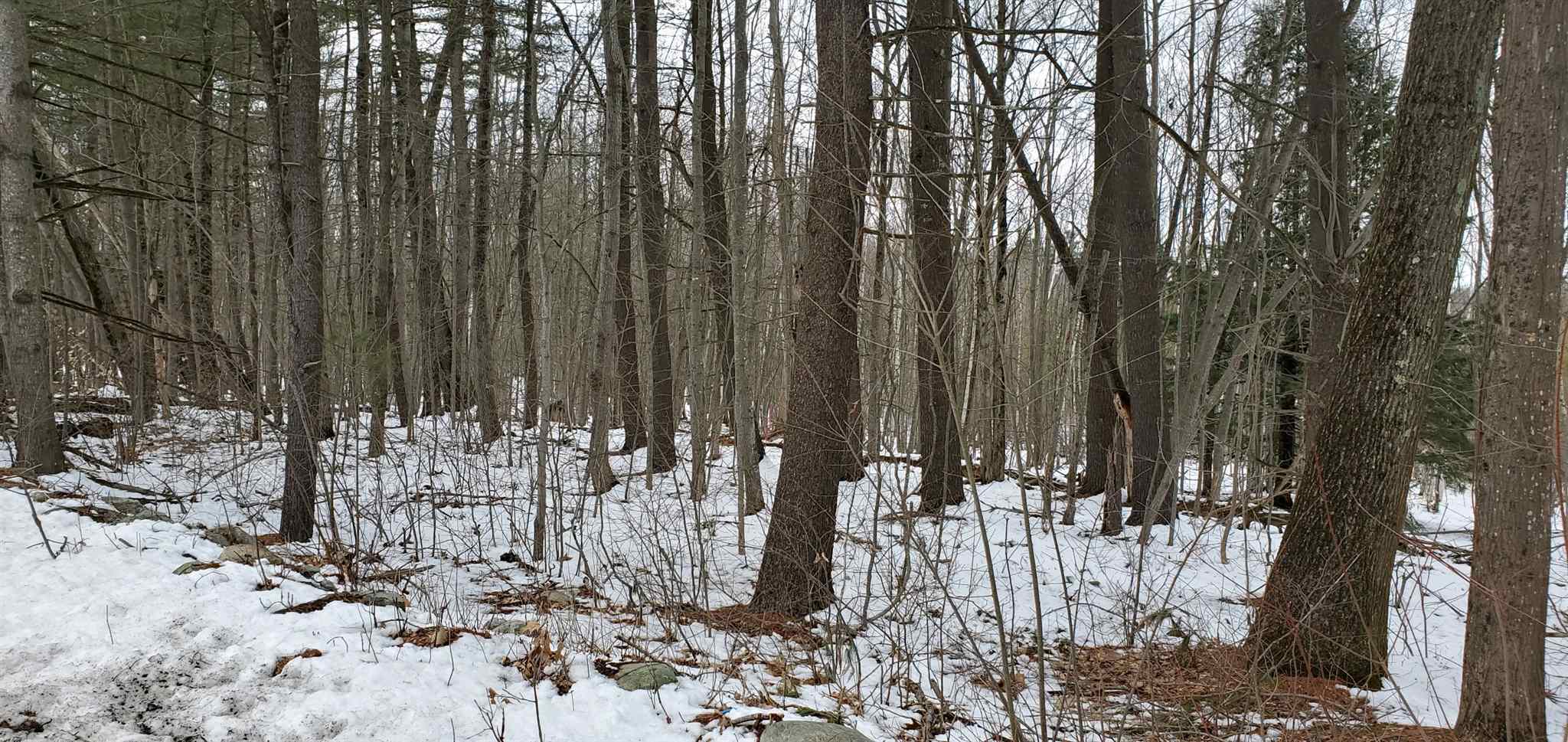 Lot 5-2 Tebbetts Road Rochester, NH 03867 - Photo 24 of 25