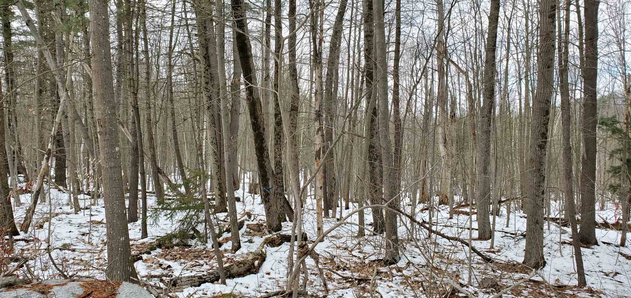 Lot 5-2 Tebbetts Road Rochester, NH 03867 - Photo 25 of 25